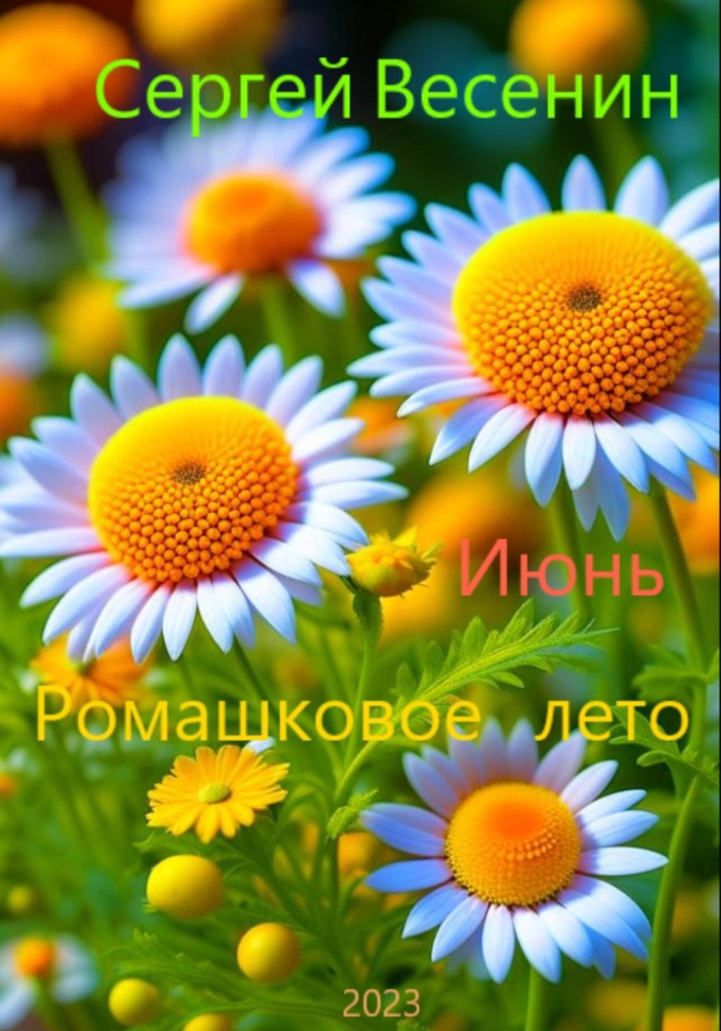 Обложка книги «Ромашковое лето»