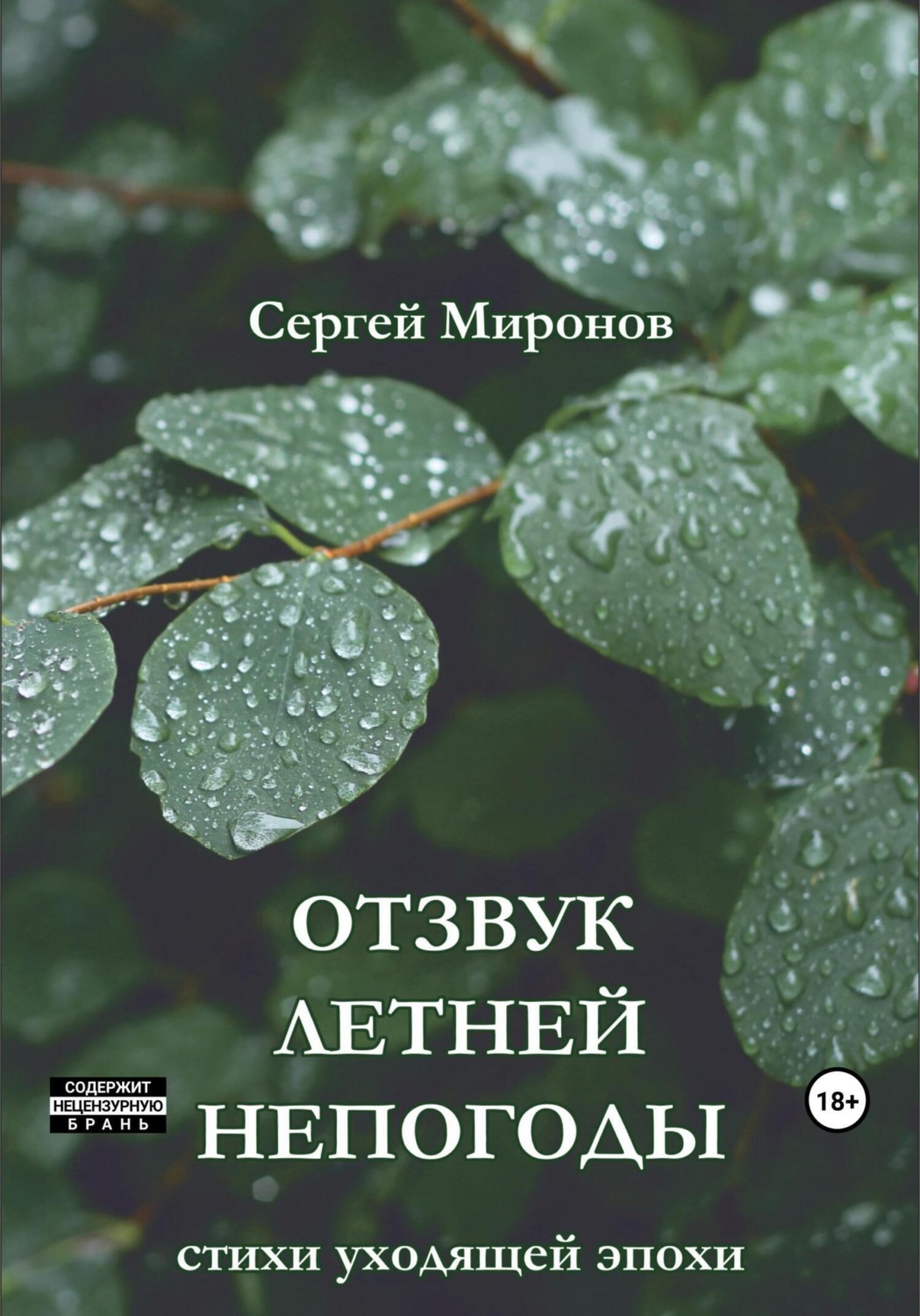Обложка книги «Отзвук летней непогоды»
