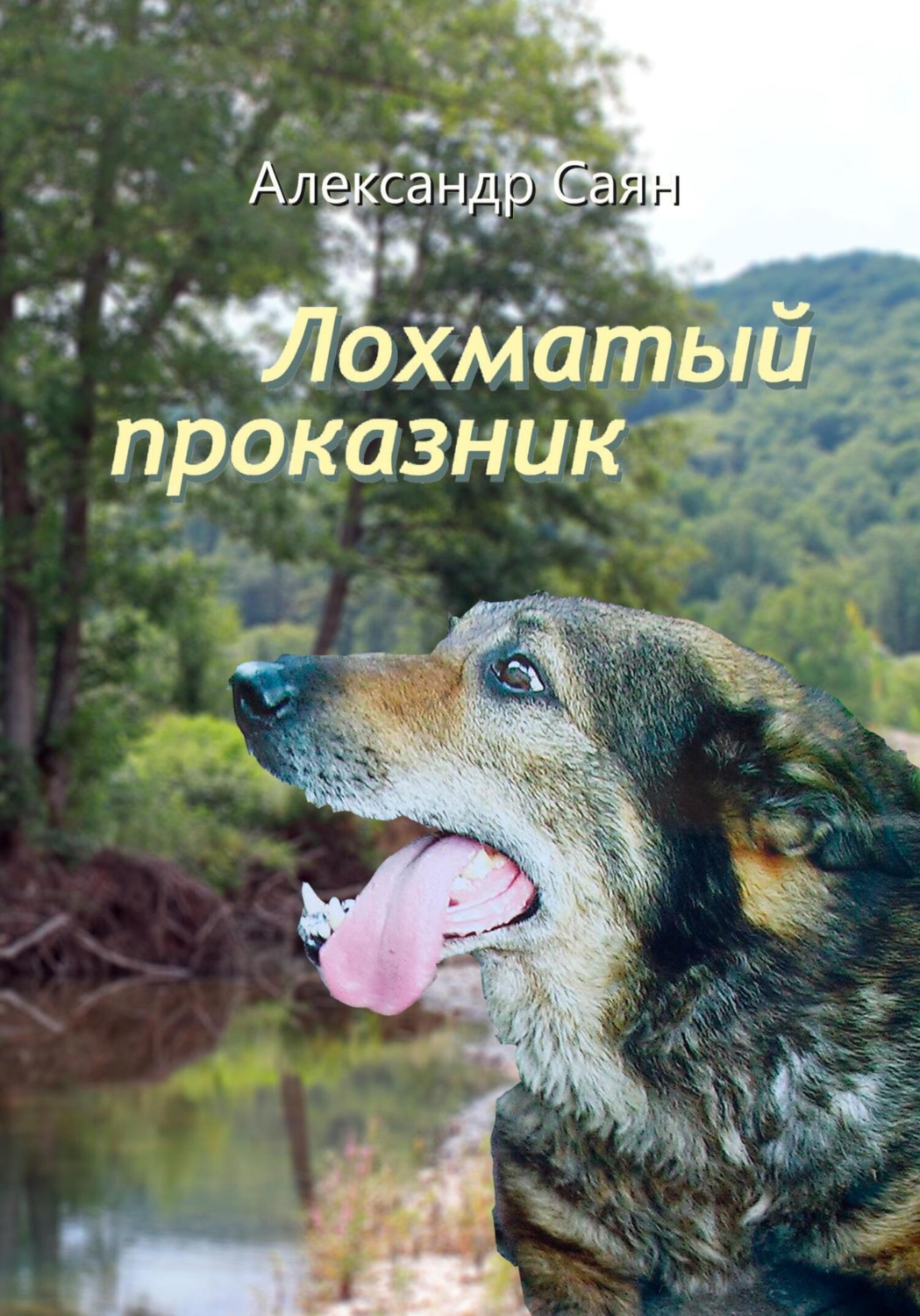 Обложка книги «Лохматый проказник»