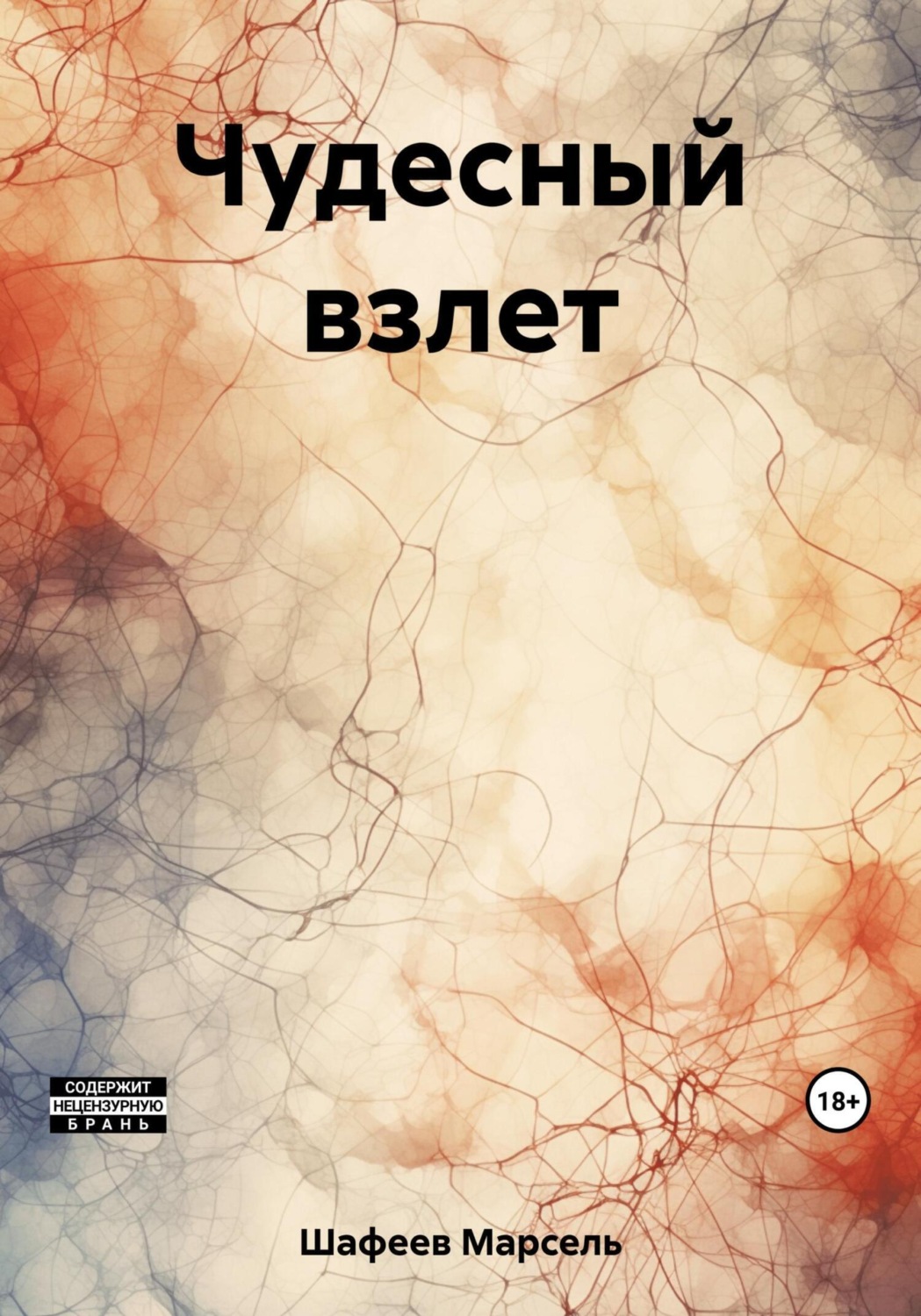 Обложка книги «Чудесный взлет»