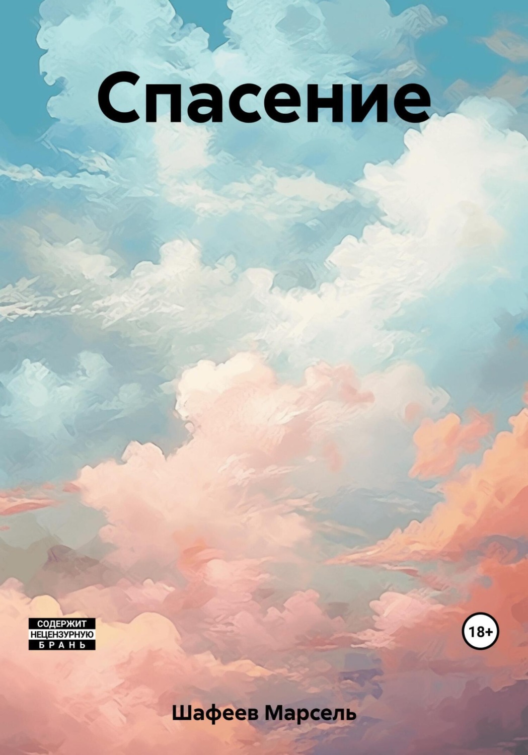 Обложка книги «Спасение»
