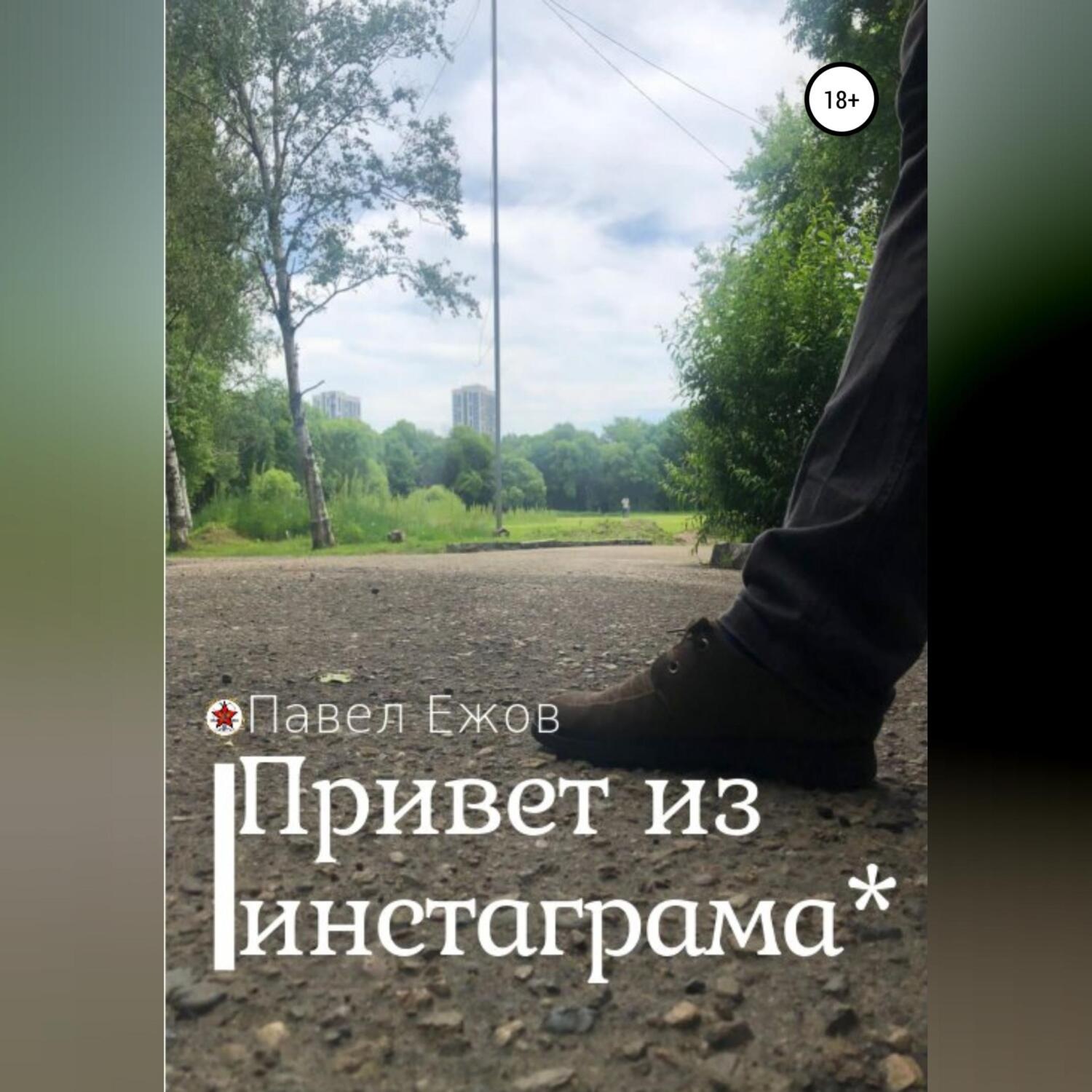Обложка книги «Привет из инстаграма*»