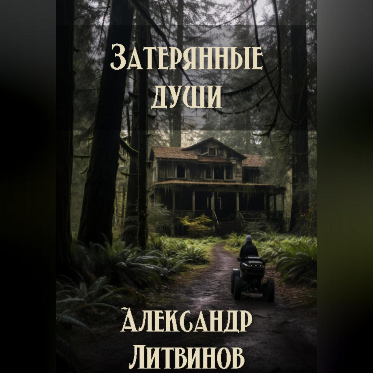 Обложка книги «Затерянные души»