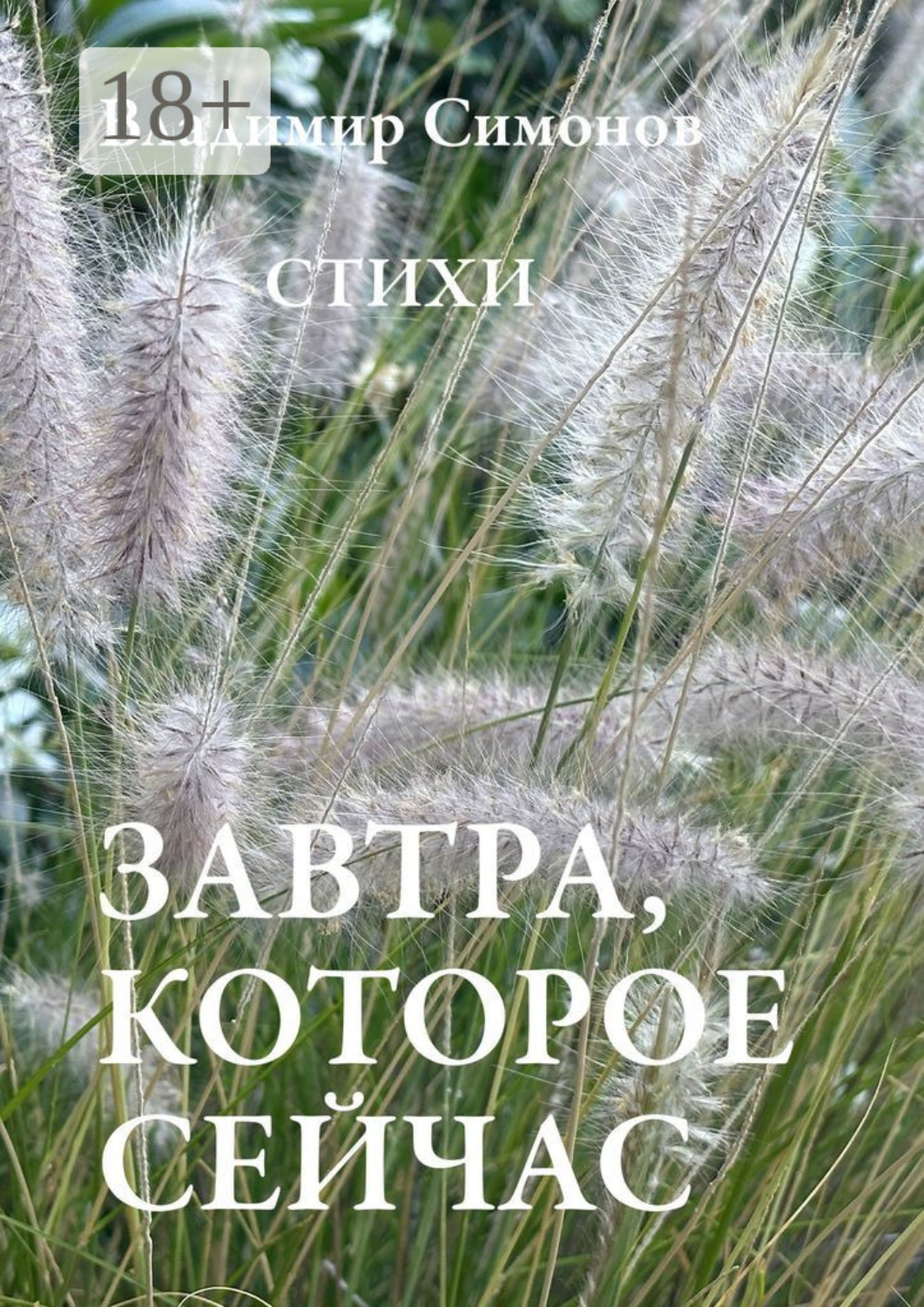 Обложка книги «Завтра, которое сейчас. Стихи»