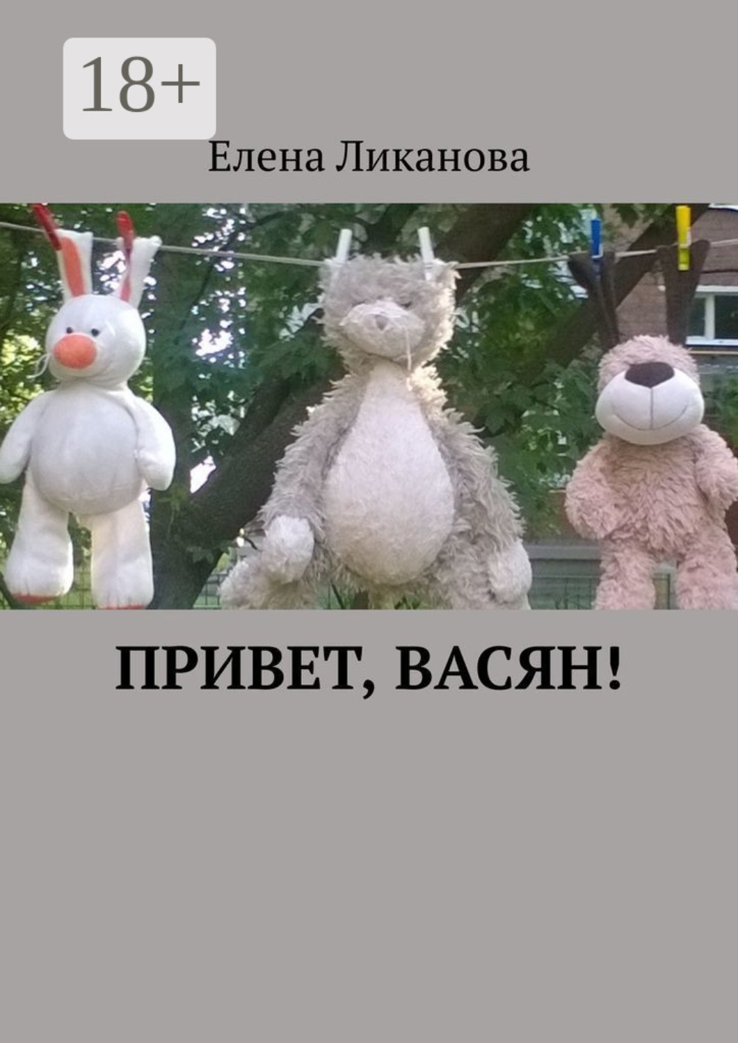 Обложка книги «Привет, Васян!»