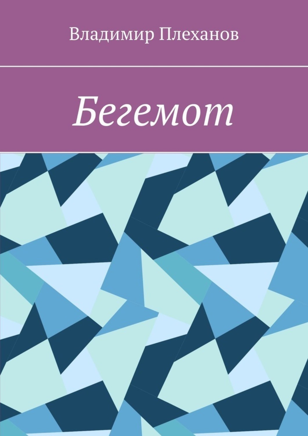 Обложка книги «Бегемот»