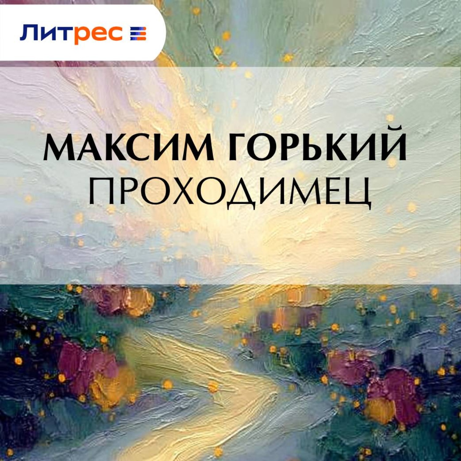 Обложка книги «Проходимец»