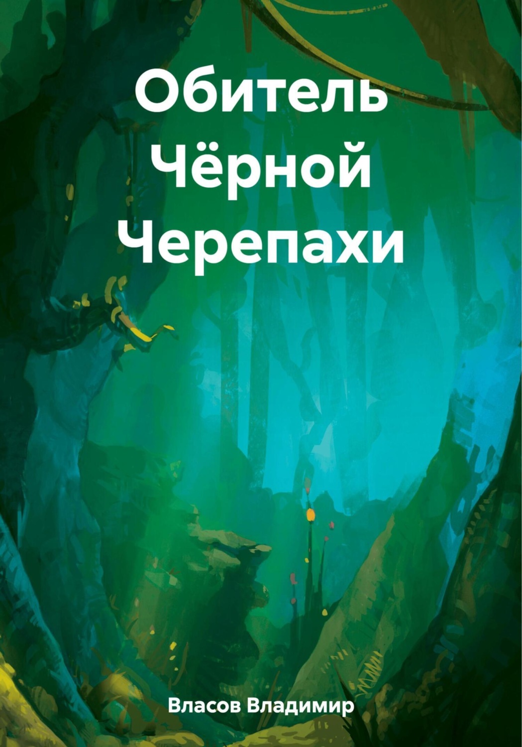 Обложка книги «Обитель Чёрной Черепахи»