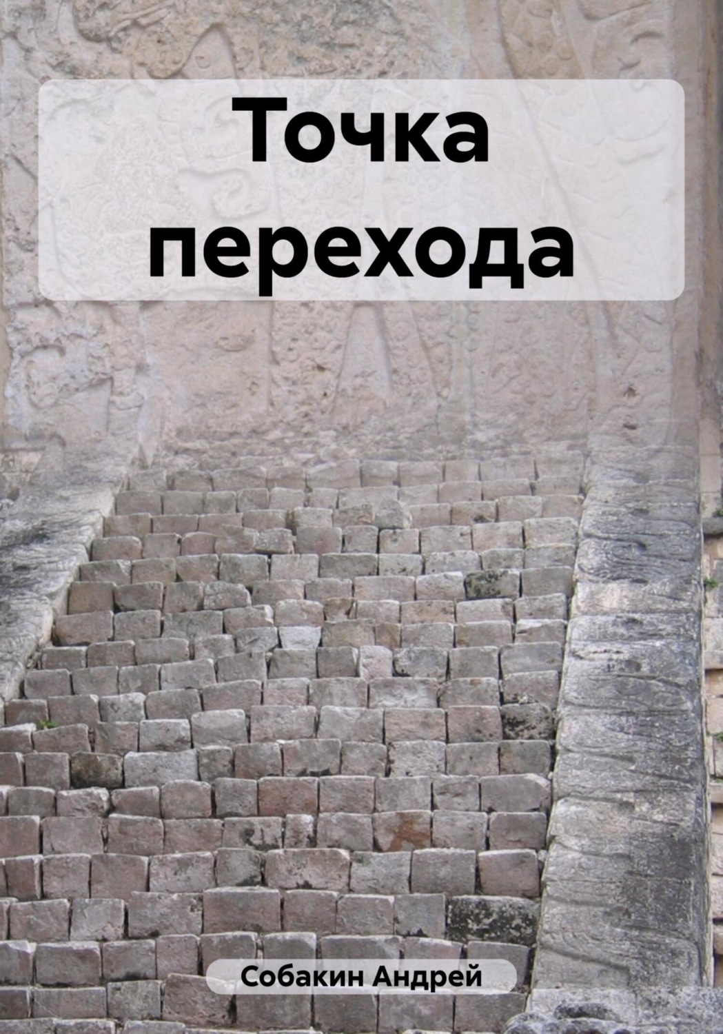 Обложка книги «Точка перехода»