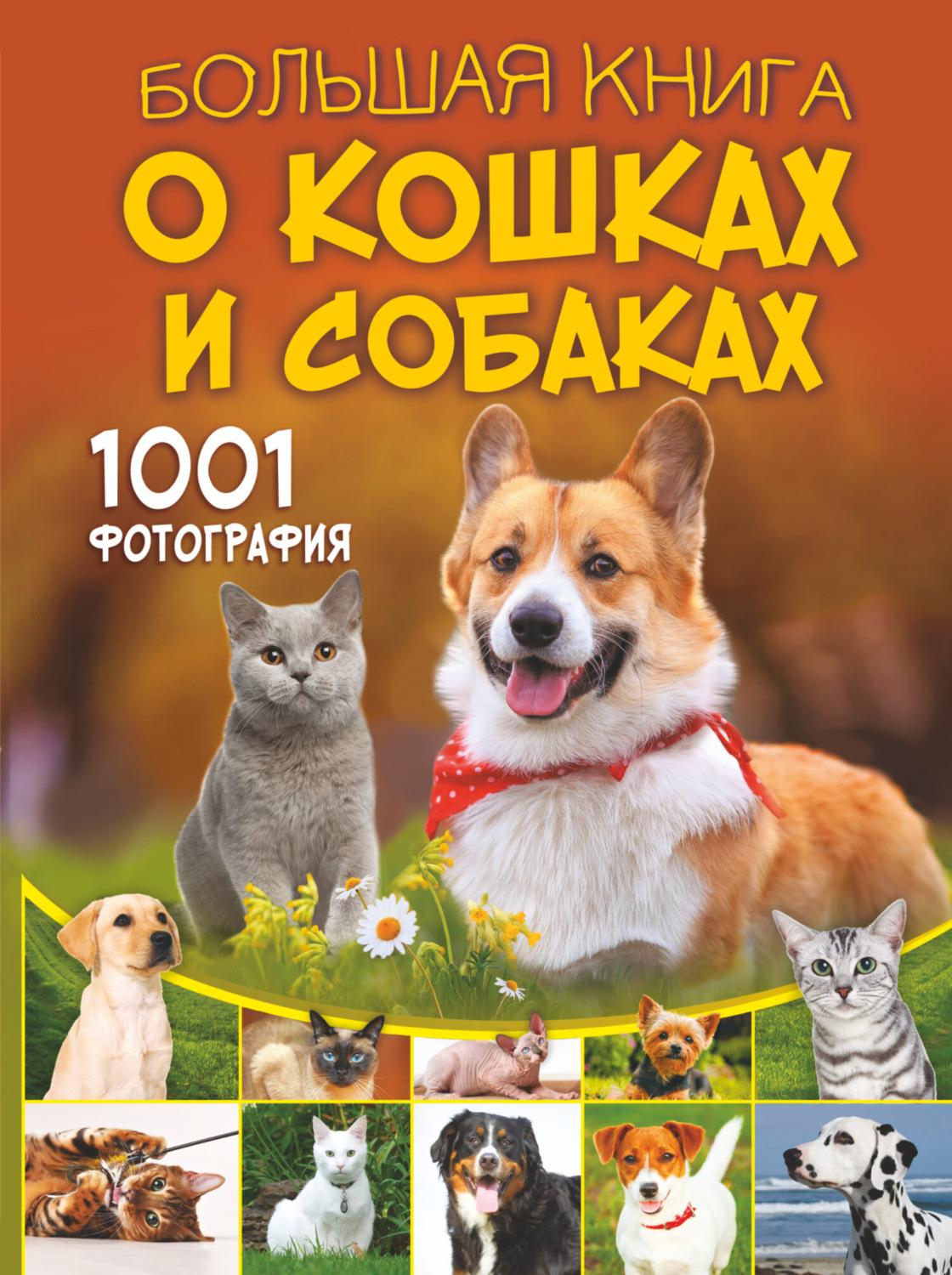 Обложка книги «Большая книга о кошках и собаках. 1001 фотография»
