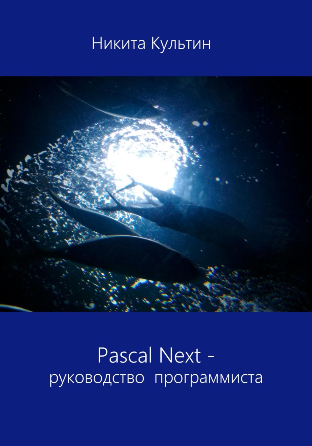 Обложка книги «Pascal Next. Руководство программиста»