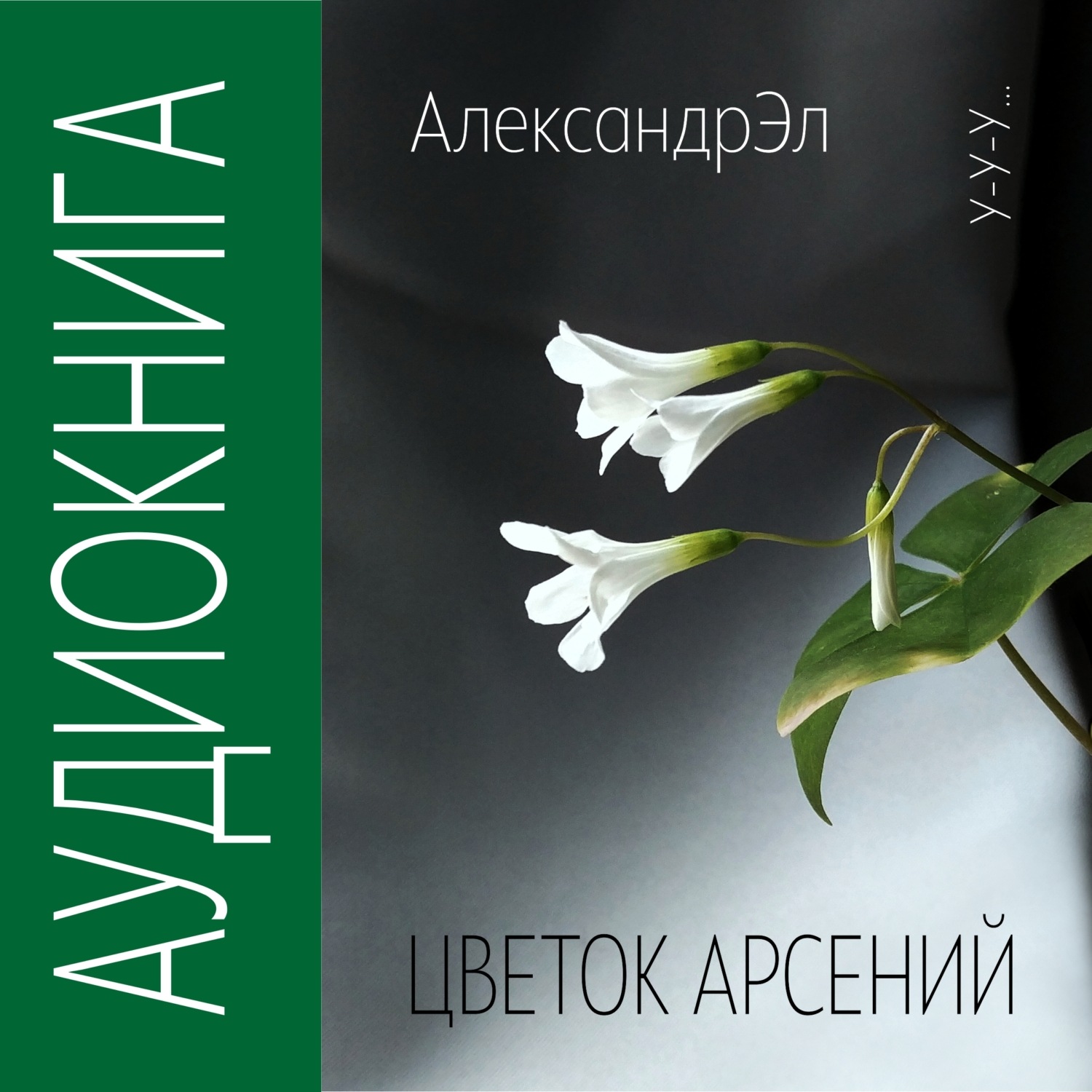 Обложка книги «Цветок Арсений»