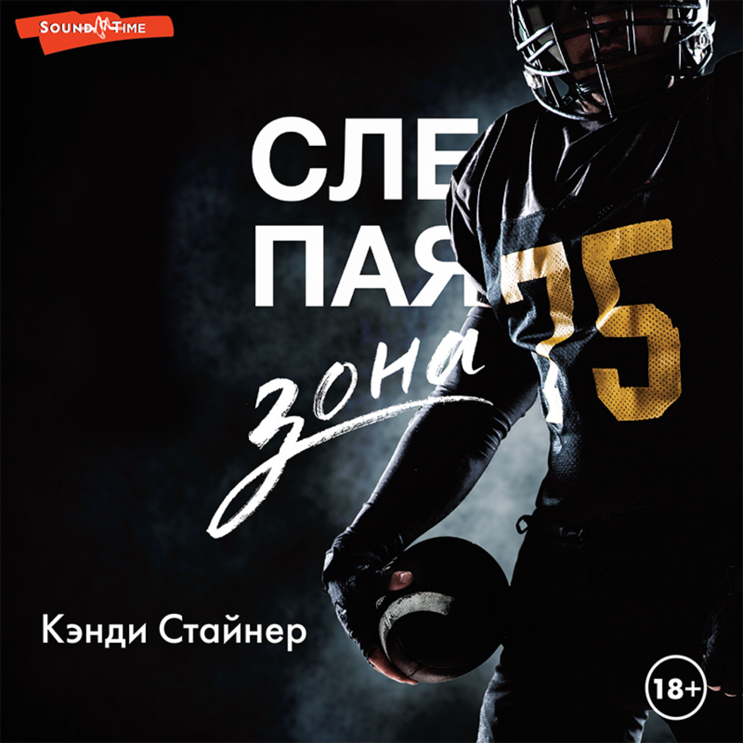 Обложка книги «Слепая зона»