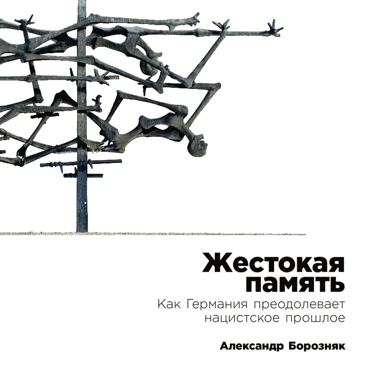 Обложка книги «Жестокая память: Как Германия преодолевает нацистcкое прошлое»