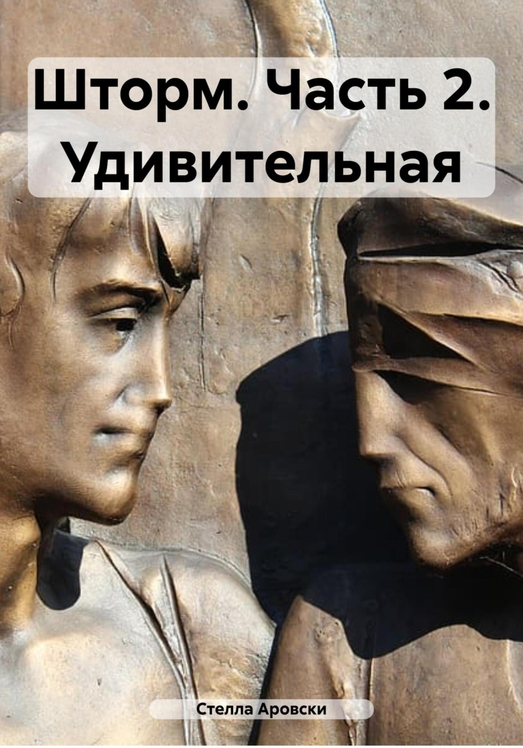 Обложка книги «Шторм. Часть 2. Удивительная»