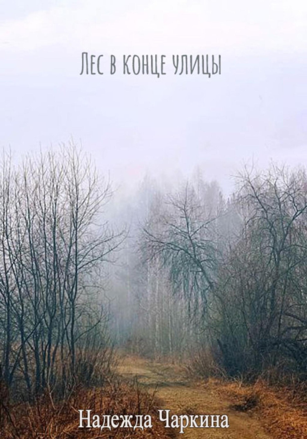 Обложка книги «Лес в конце улицы»