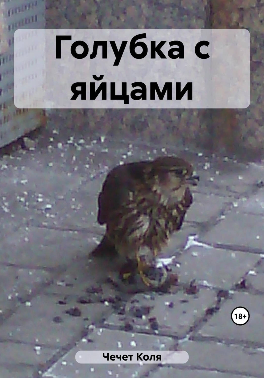 Обложка книги «Голубка с яйцами»
