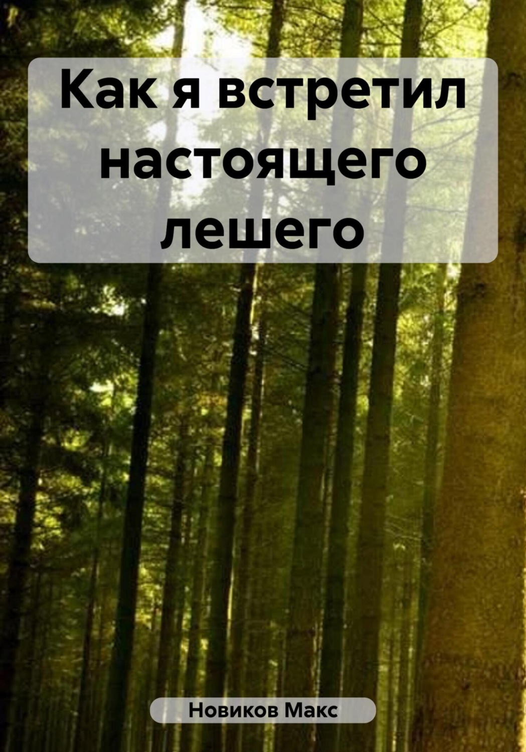 Обложка книги «Как я встретил настоящего лешего»