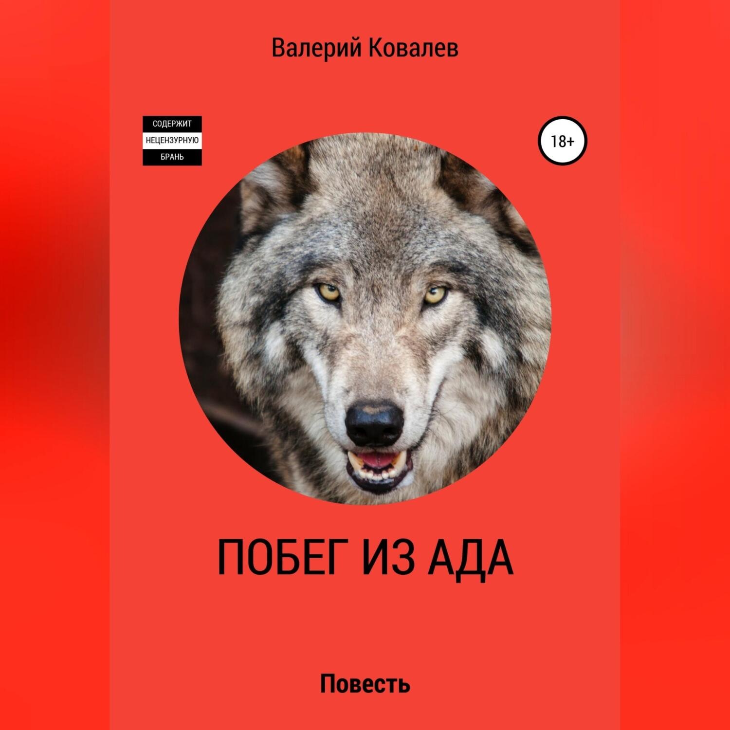 Обложка книги «Побег из ада»