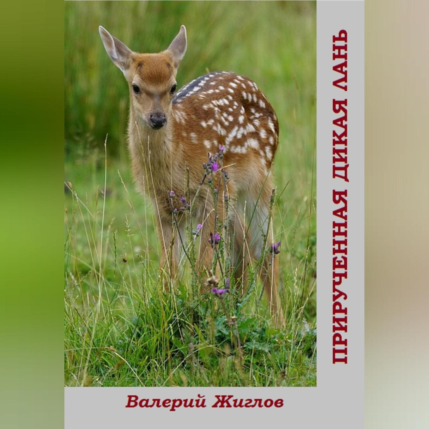 Обложка книги «Прирученная дикая лань»