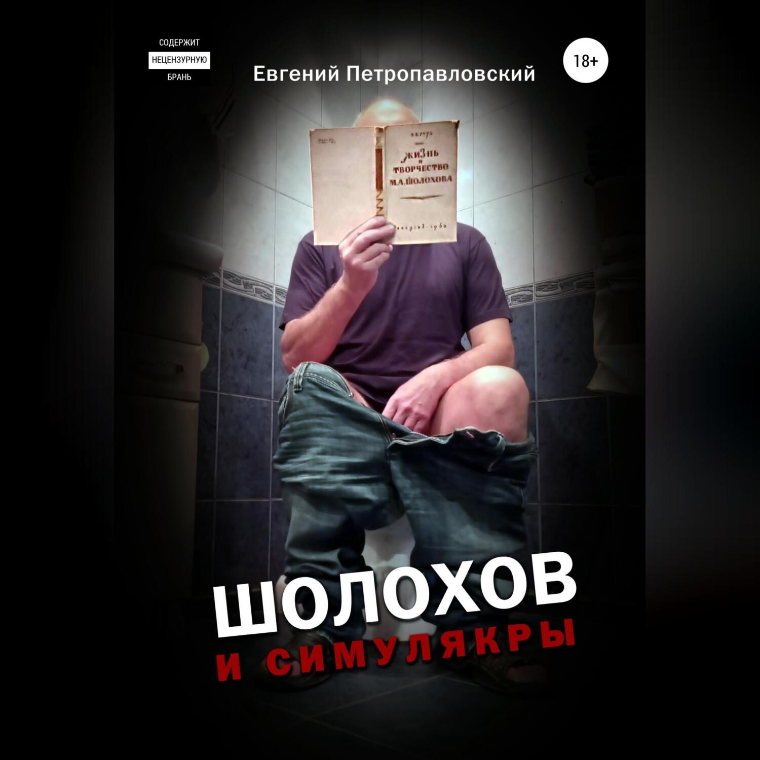 Обложка книги «Шолохов и симулякры»