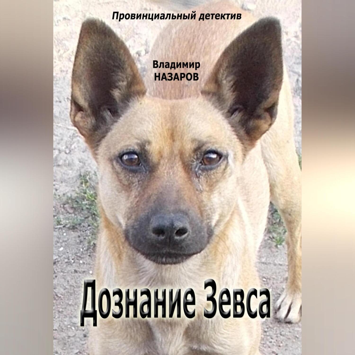 Обложка книги «Дознание Зевса»