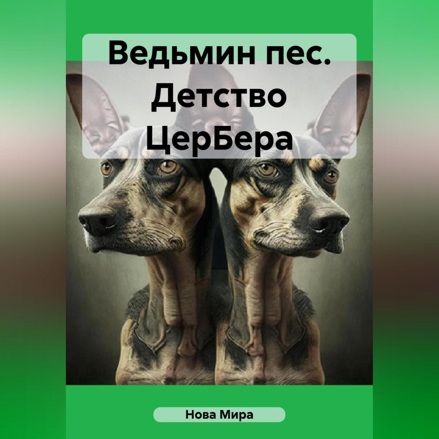 Обложка книги «Ведьмин пес. Детство ЦерБера»