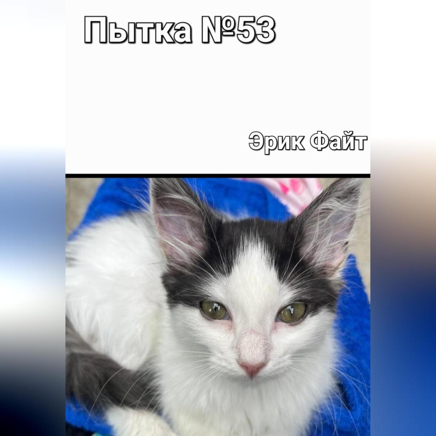 Обложка книги «Пытка №53»