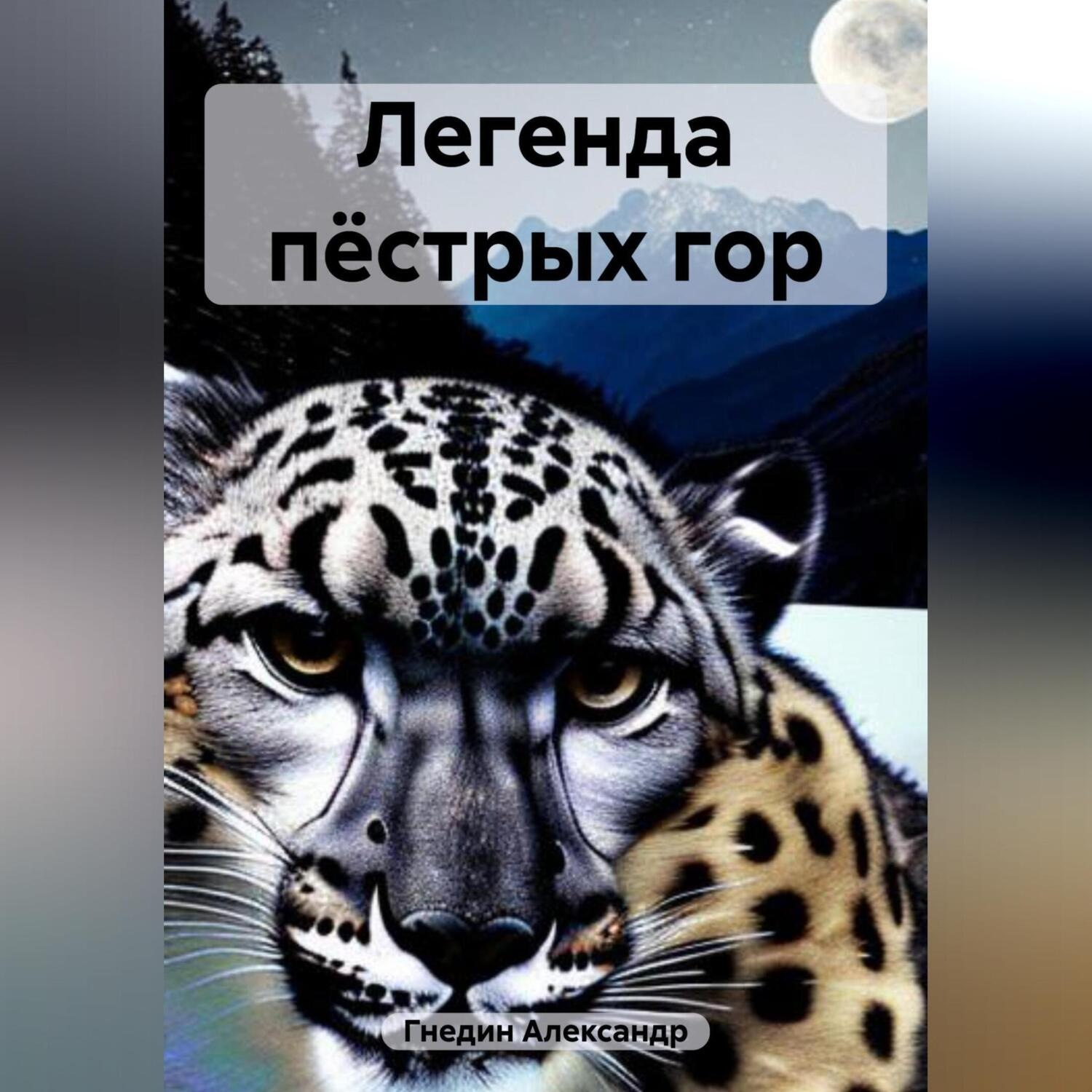 Обложка книги «Легенда пёстрых гор»