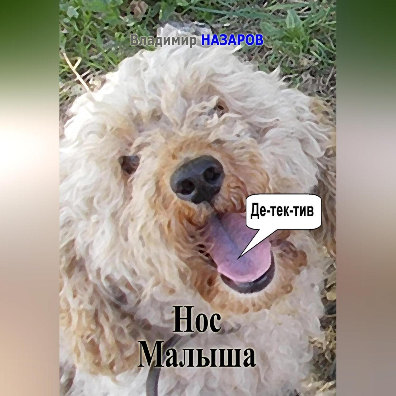 Обложка книги «Нос Малыша»