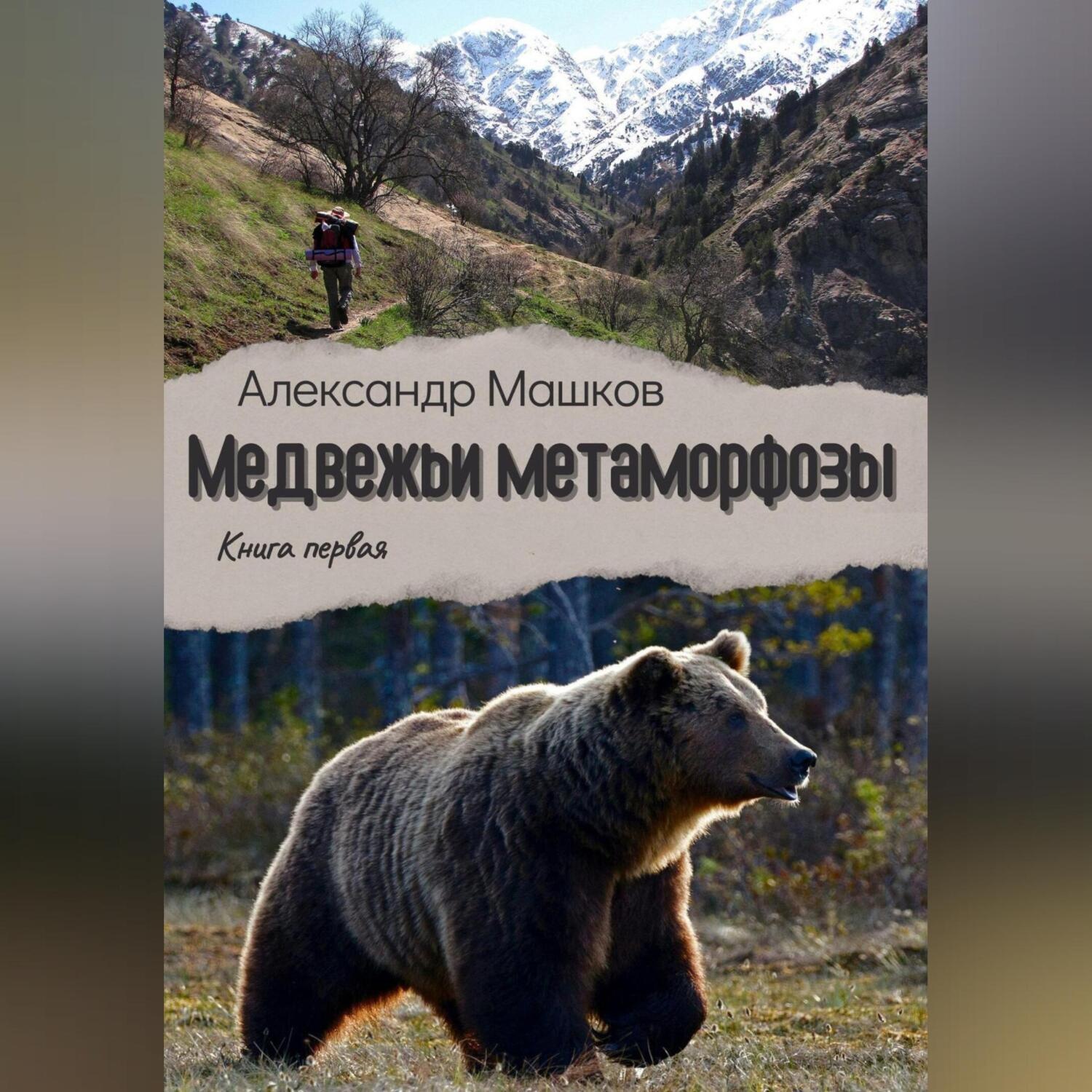 Обложка книги «Медвежьи метаморфозы»