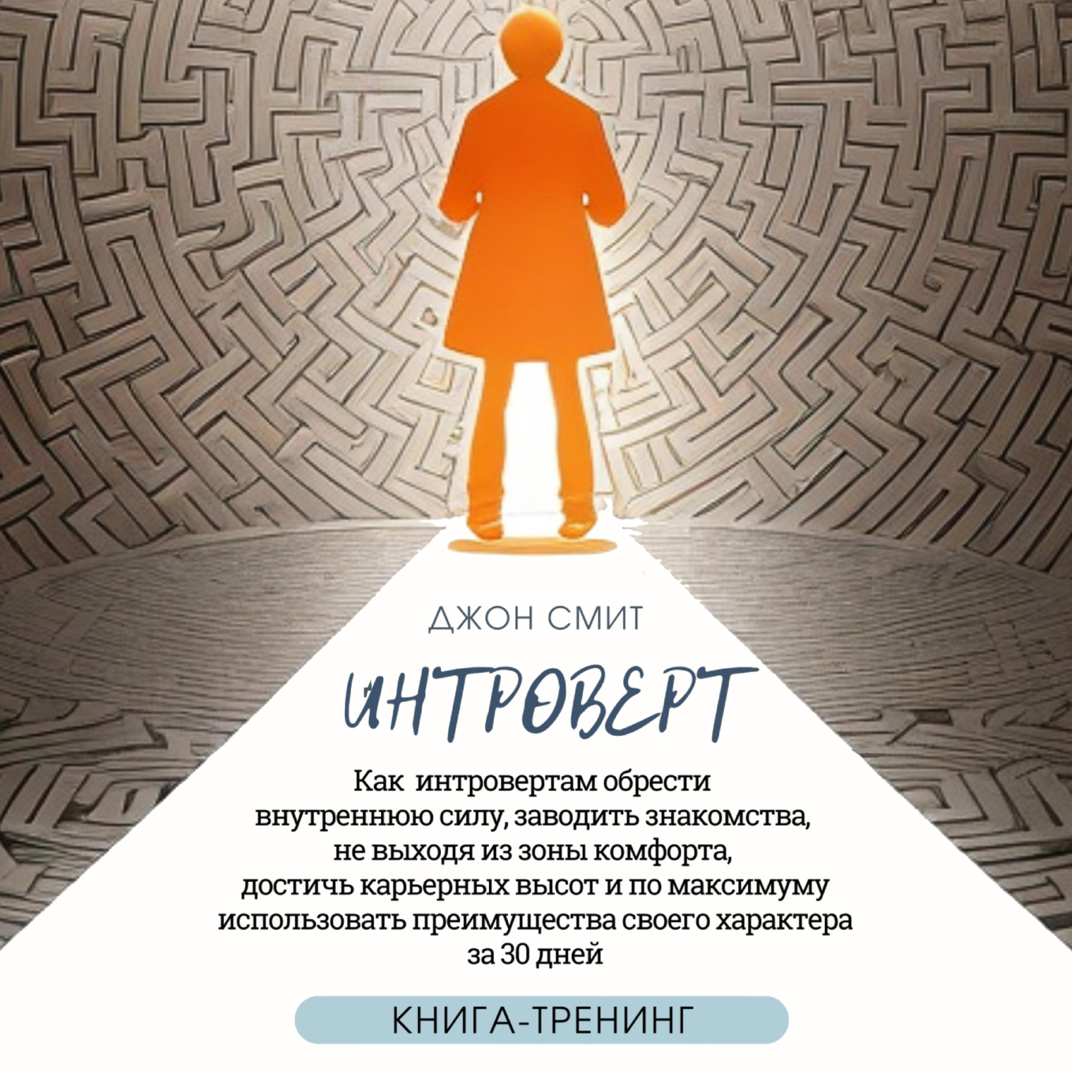 Обложка книги «Интроверт. Как интровертам обрести внутреннюю силу, заводить знакомства, не выходя из зоны комфорта, достичь карьерных высот и по максимуму использовать преимущества своего характера за 30 дней»