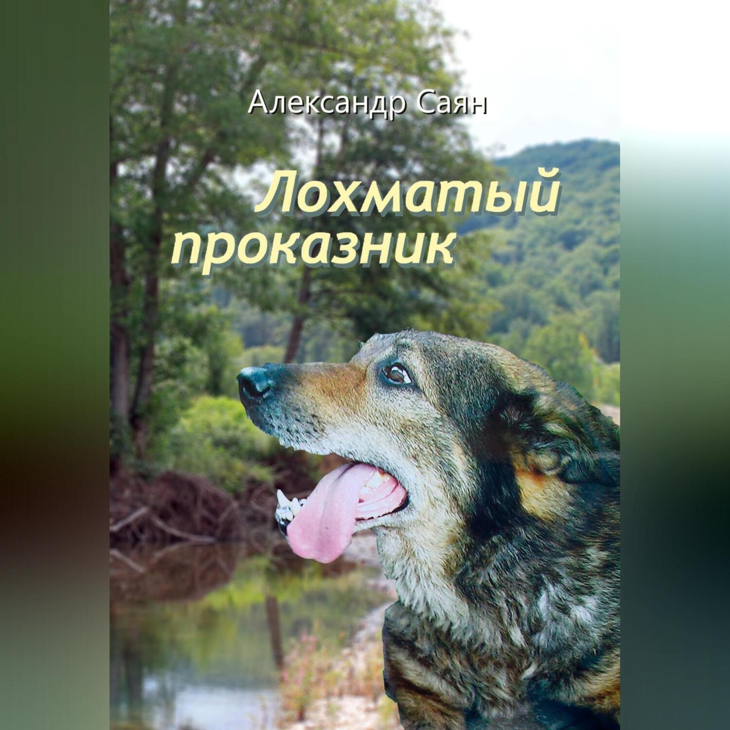 Обложка книги «Лохматый проказник»