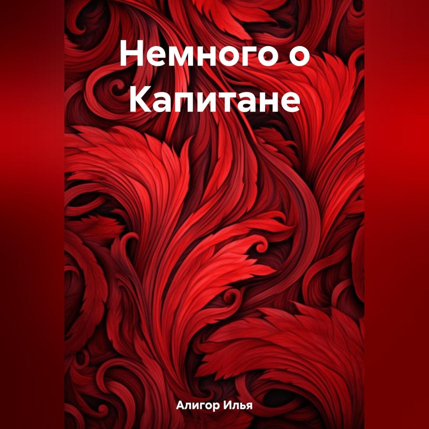 Обложка книги «Немного о Капитане»