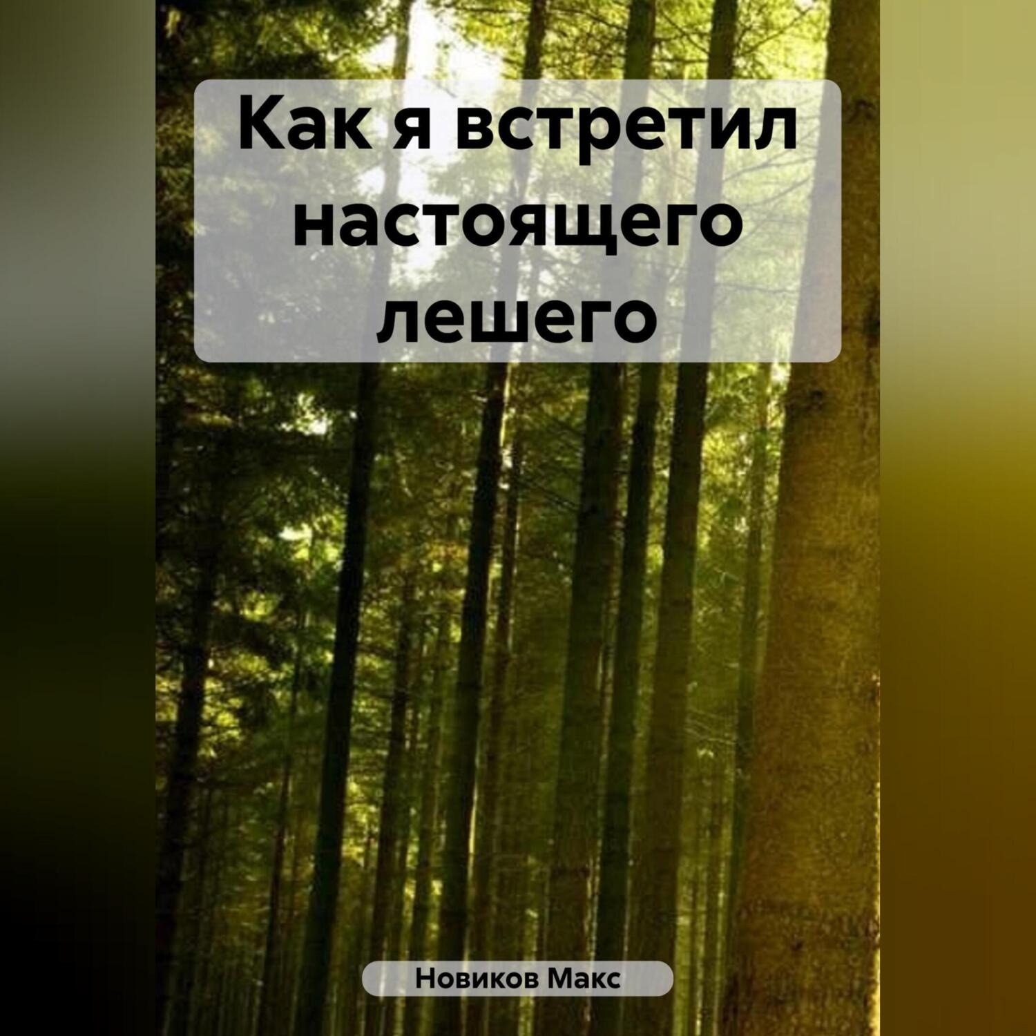 Обложка книги «Как я встретил настоящего лешего»