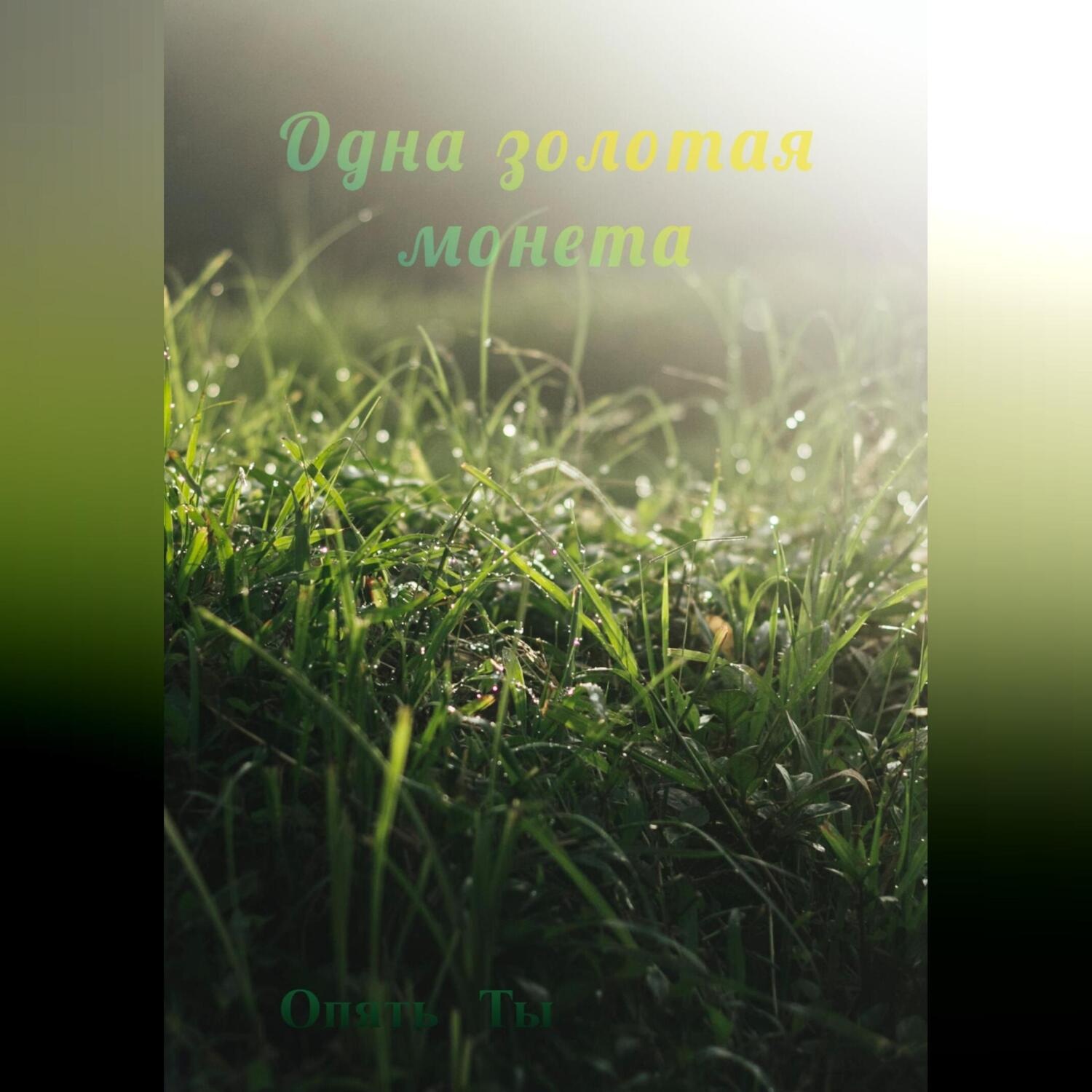 Обложка книги «Одна золотая монета»