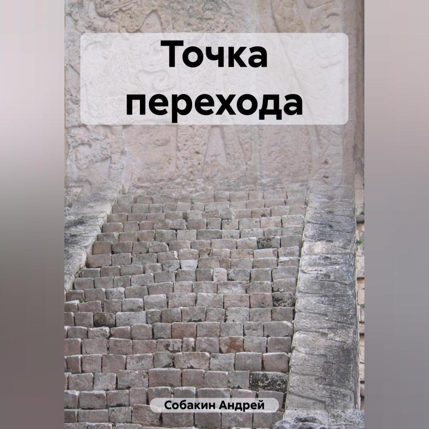 Обложка книги «Точка перехода»