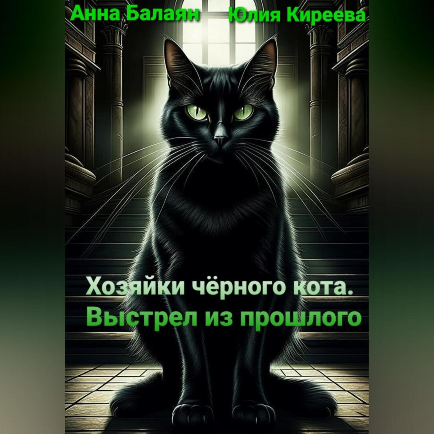 Обложка книги «Хозяйки черного кота. Выстрел из прошлого»