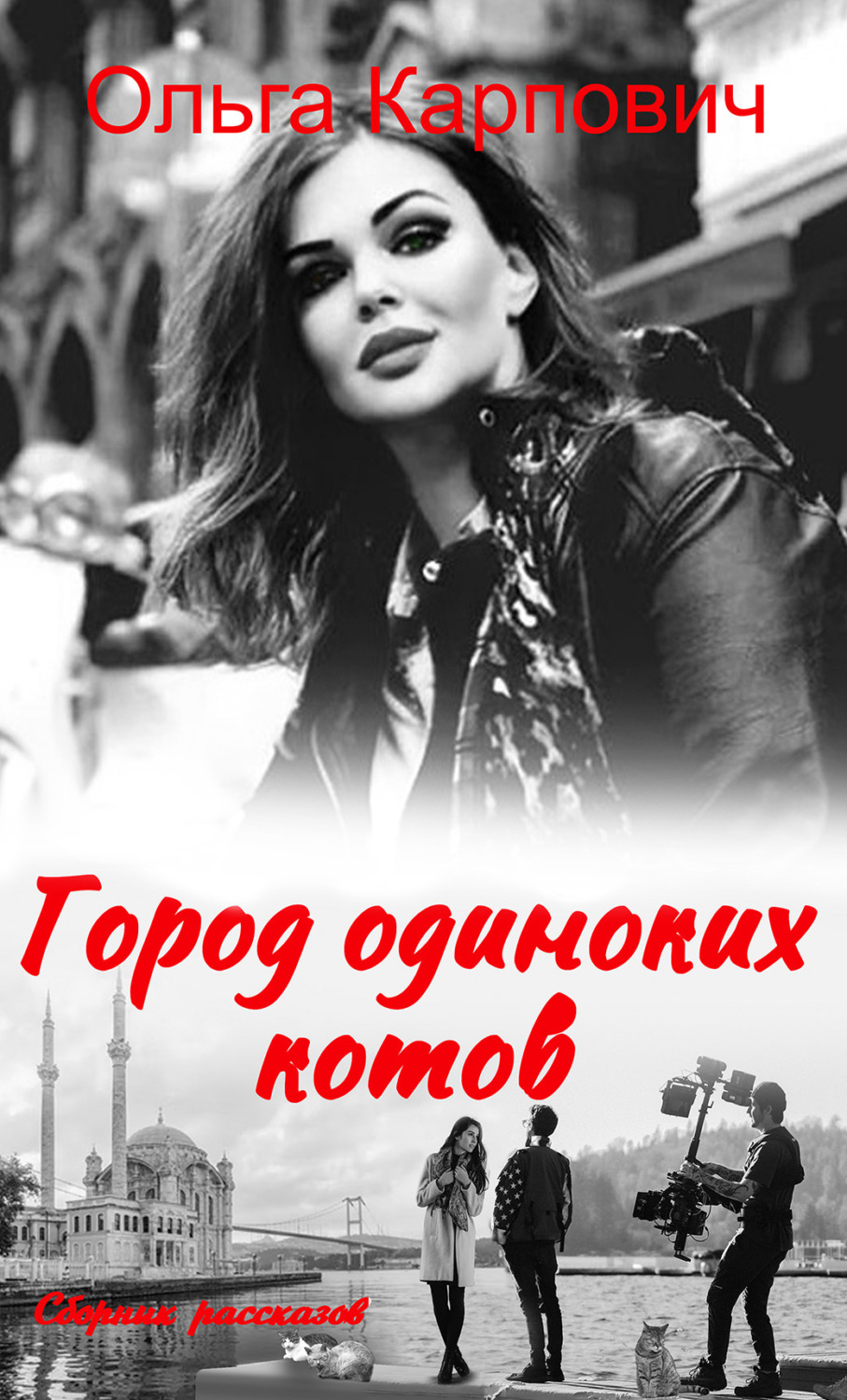 Обложка книги «Город одиноких котов»