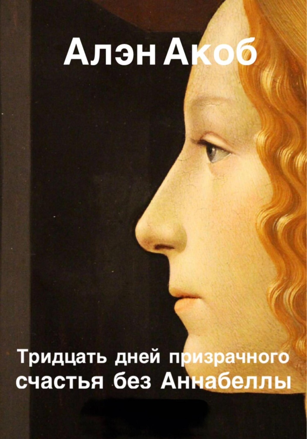 Обложка книги «Тридцать дней призрачного счастья без Аннабеллы»