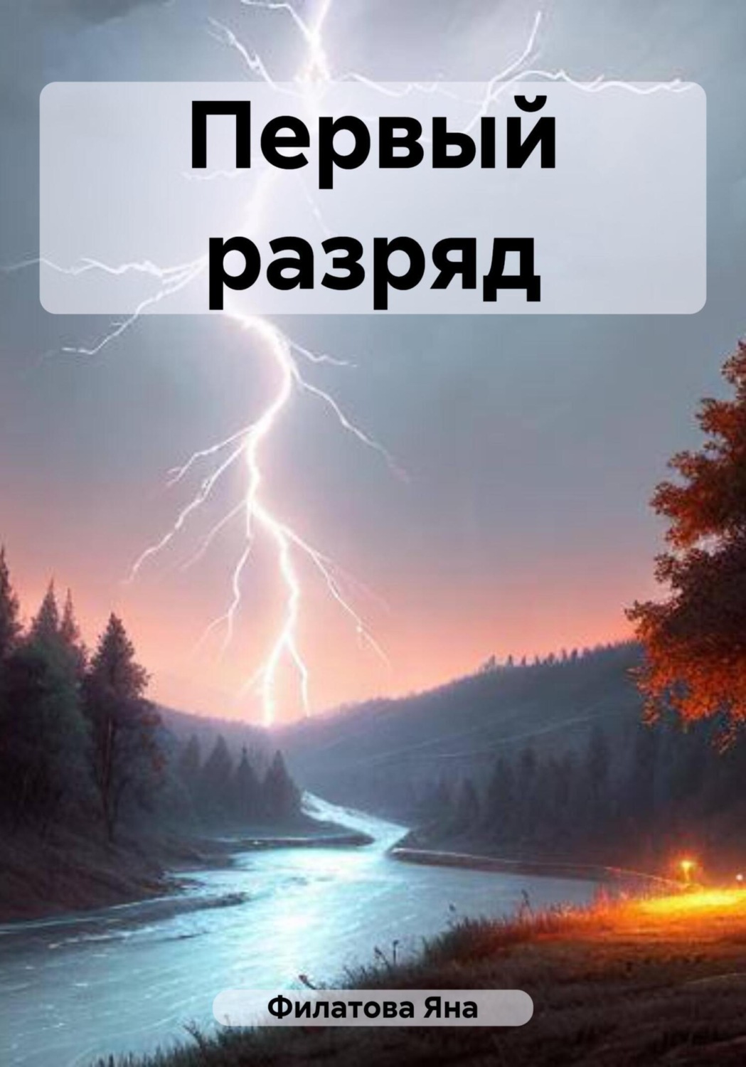 Обложка книги «Первый разряд»