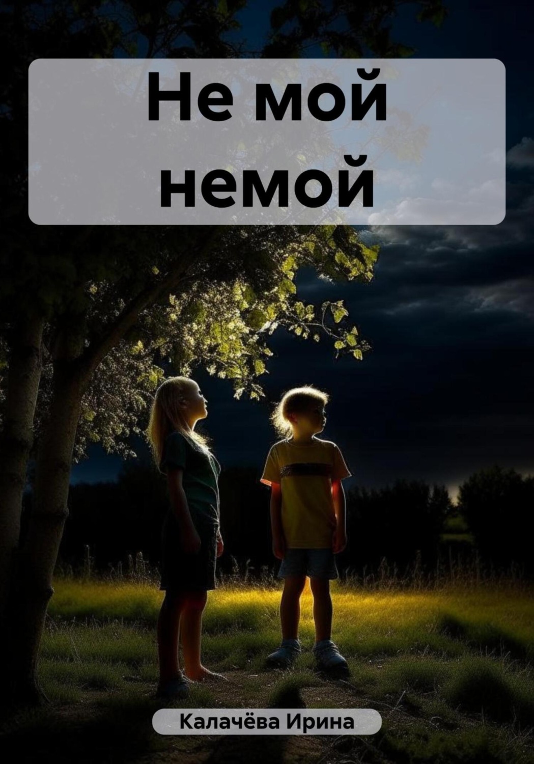 Обложка книги «Не мой немой»