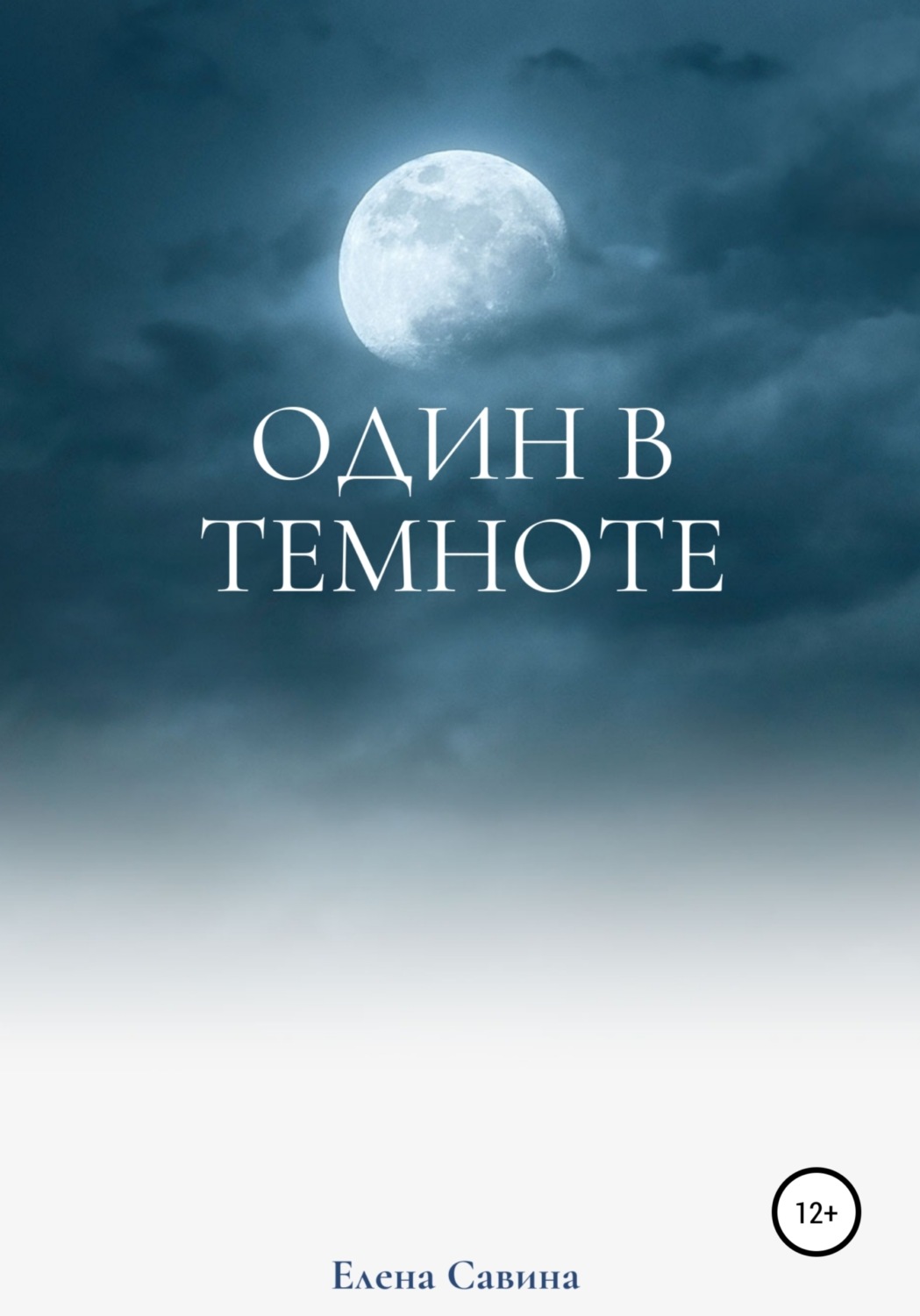 Обложка книги «Один в темноте»