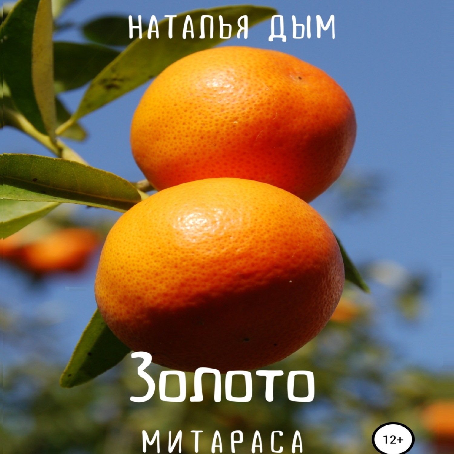 Обложка книги «Золото Митараса»