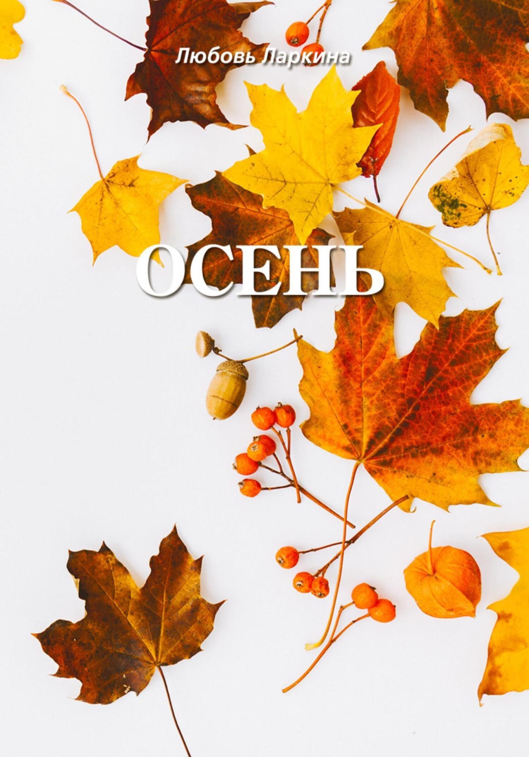 Обложка книги «Осень»