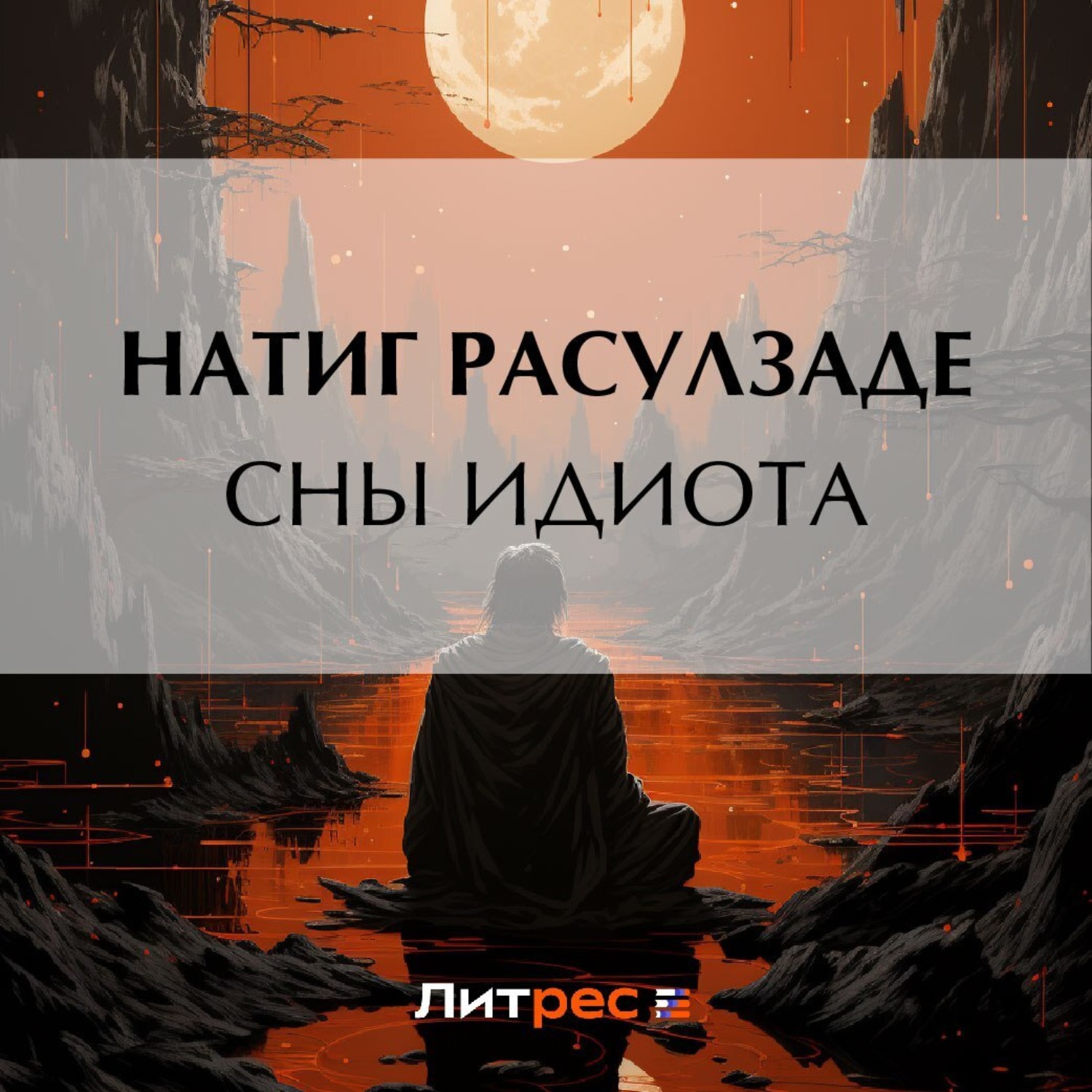 Обложка книги «Сны идиота»