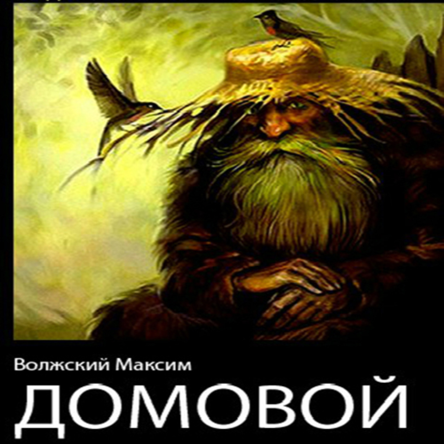 Обложка книги «Домовой»
