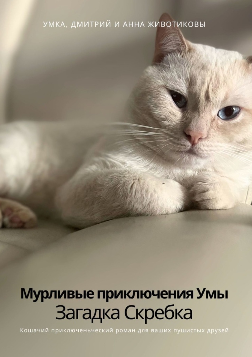 Обложка книги «Мурливые приключения Умы. Загадка скребка»