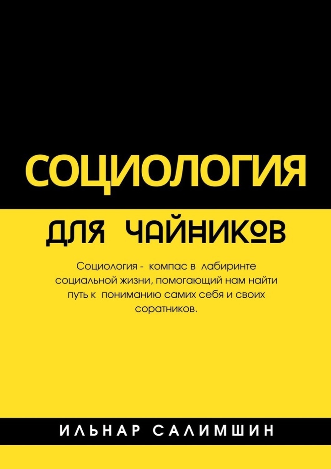 Обложка книги «Социология для чайников»