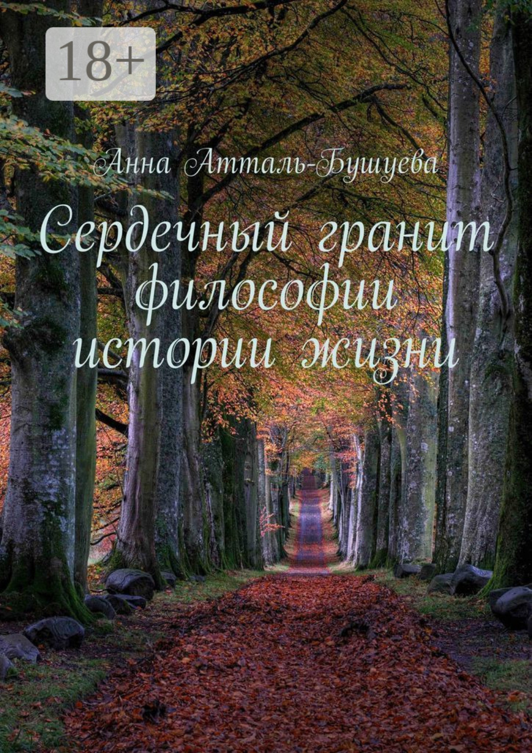Обложка книги «Сердечный гранит философии истории жизни»